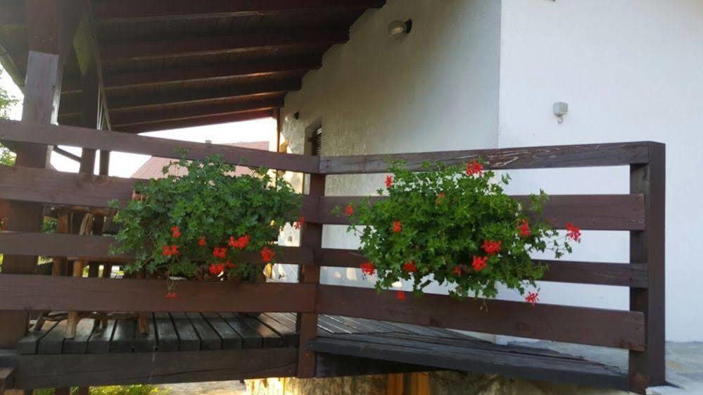 Guest House Plitvice Waterfall Плитвицкие озёра Экстерьер фото